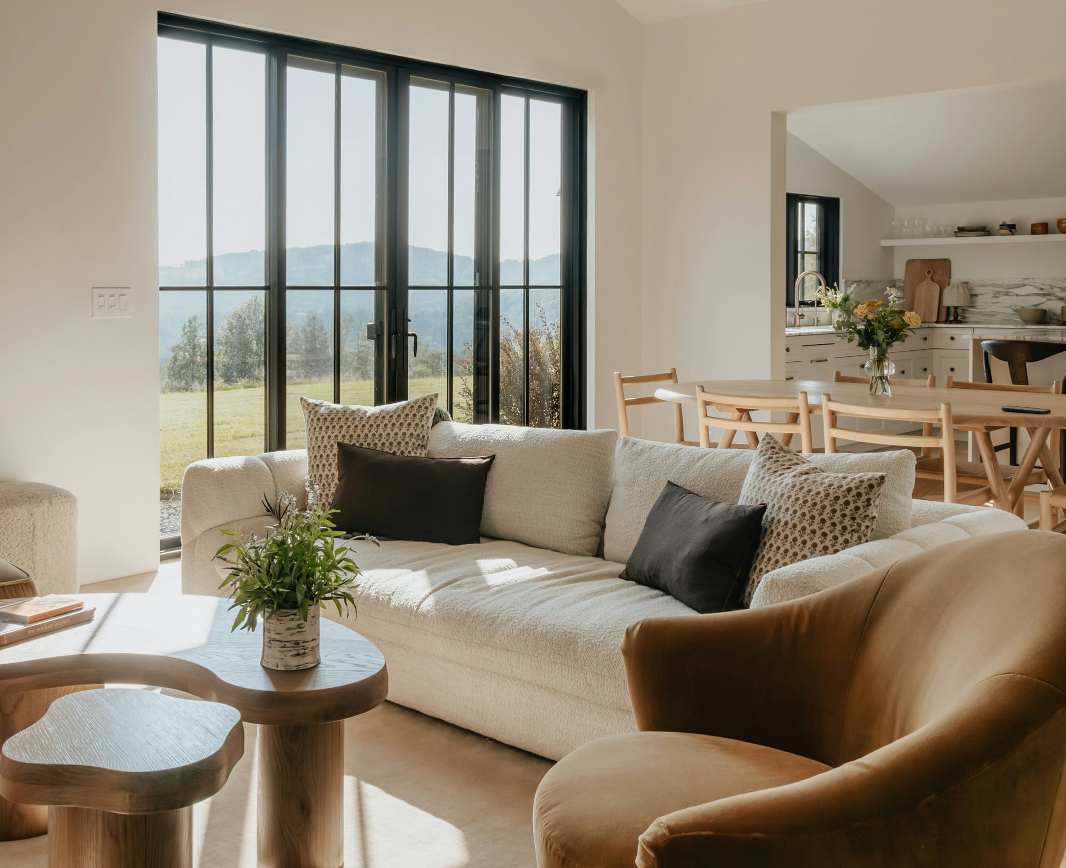 Modern minimalist living room